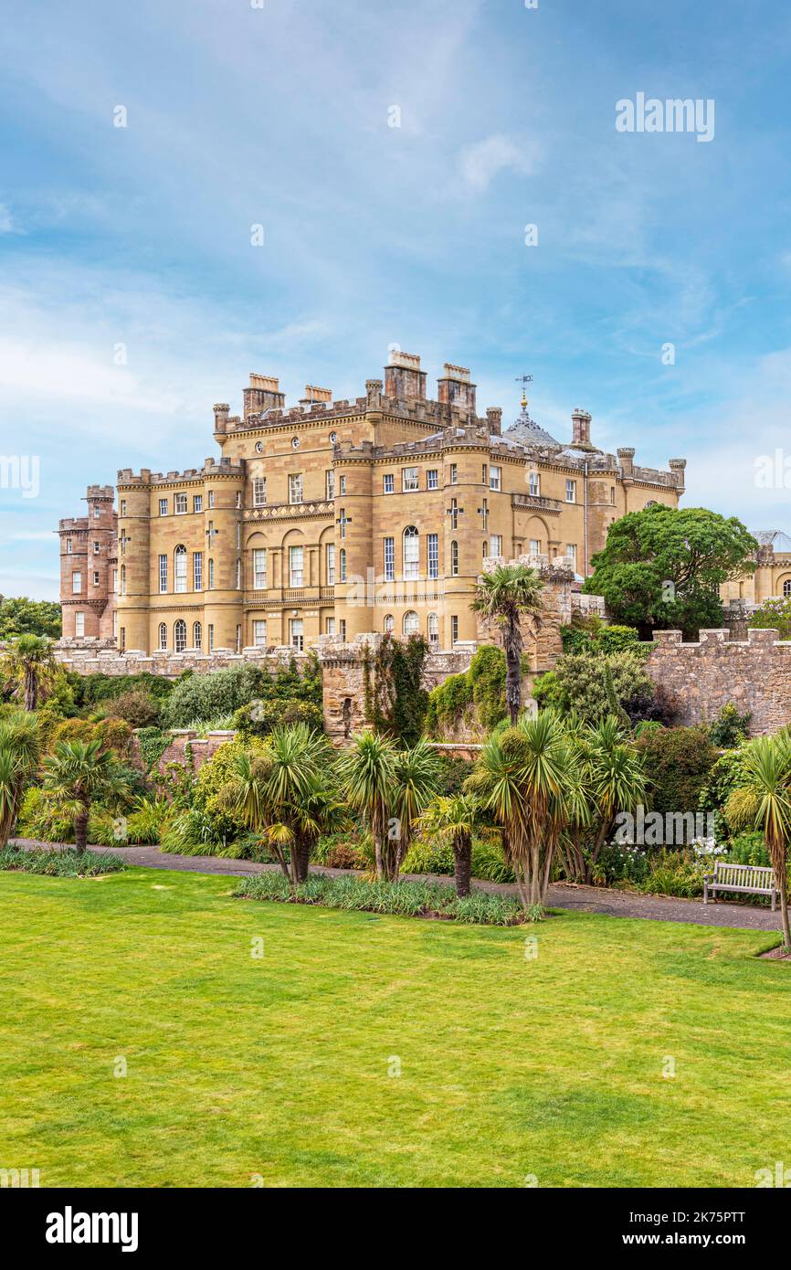 Palm trees in the gardens at Culzean Castle, South Ayrshire, Scotland UK Stock Photo