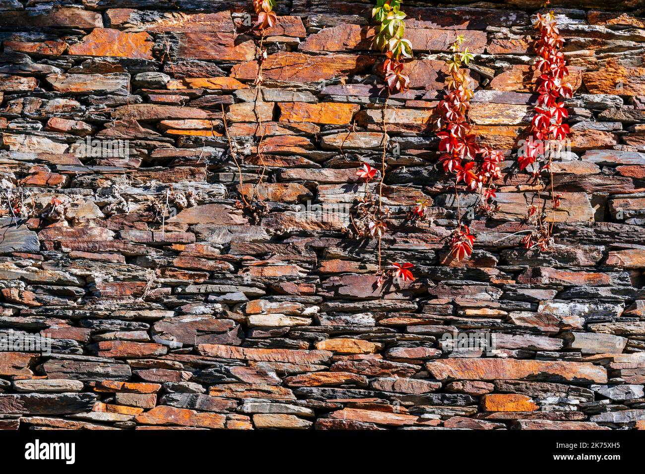 Route of the black villages. Autumn colors. Street of Campillejo, a