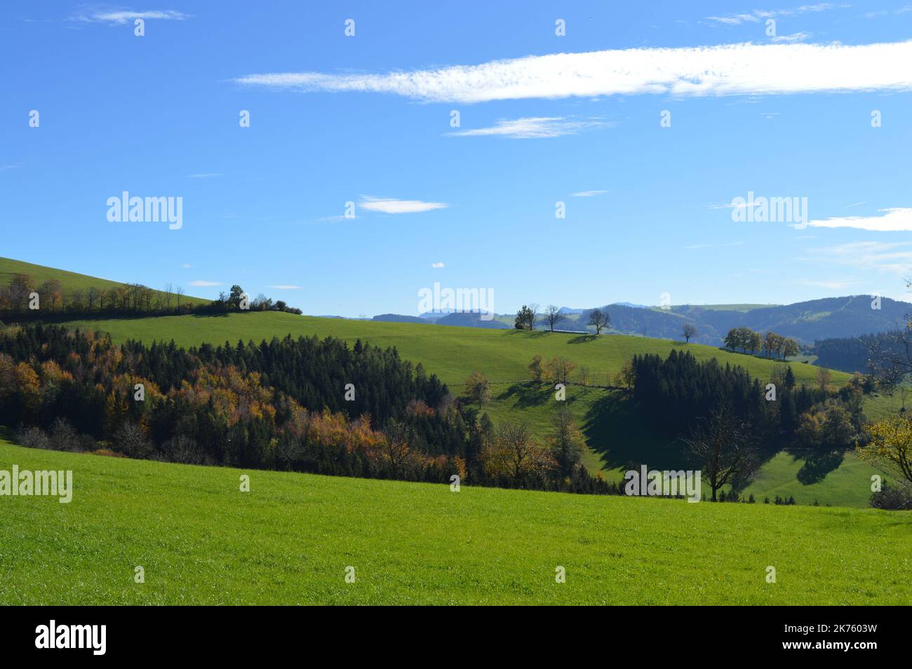 Hochkogel Panoramaweg im Herbst, grüne Hügel, Wanderparadies mit saftigen Weiden, Laubbäumen und sanften grünen Hügeln Stock Photo