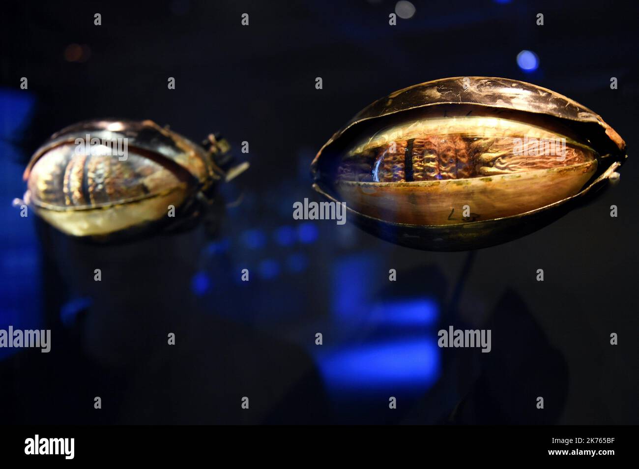 The eyes of Jabba the HUTT (episode VI The Return of the Jedi - 1983) in the exhibition Star Wars Identities. Stock Photo