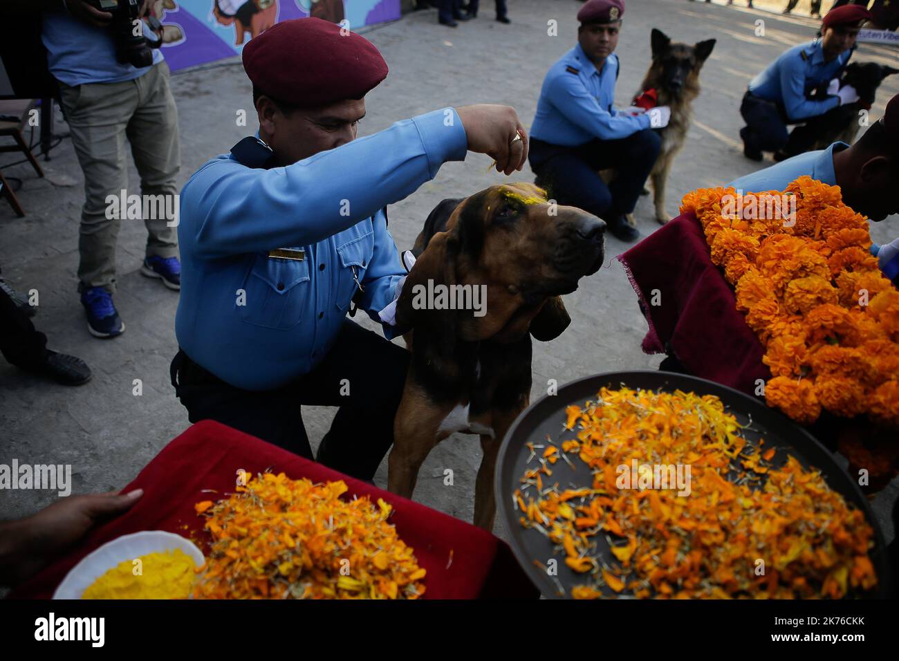 A Nepalese police officer worship his dog applying garland, vermillion
