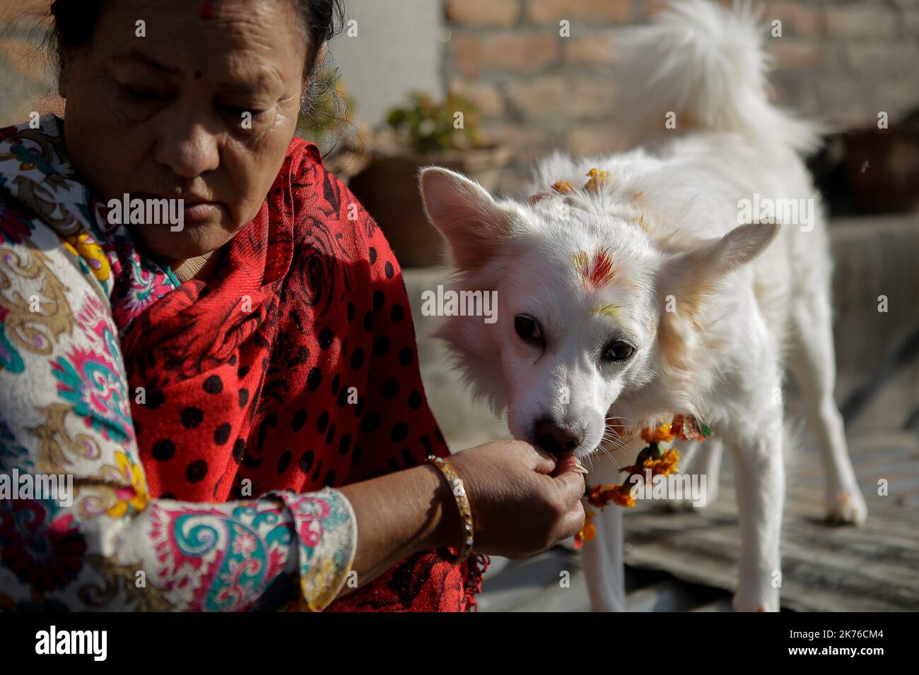 A Nepalese woman worship a dog applying garland, vermillion powder and