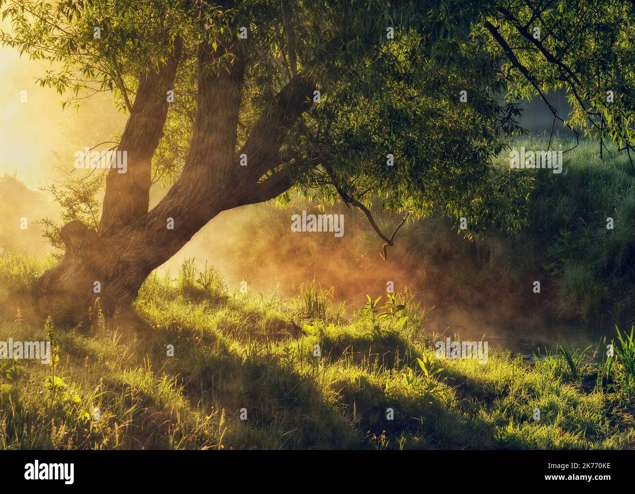 Beautiful spring sunrise over river banks. the sun's rays break through