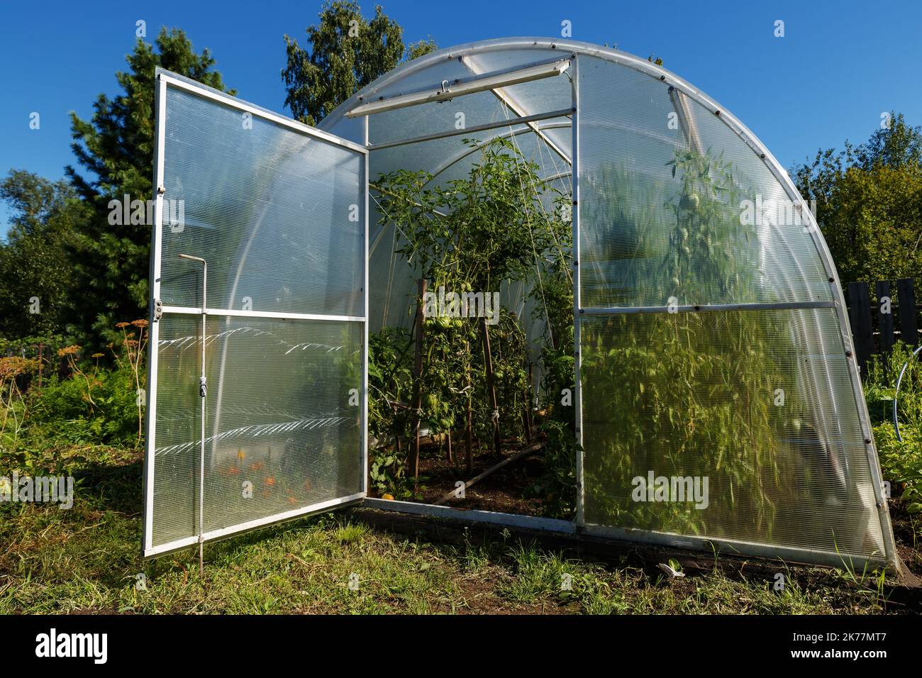 polycarbonate greenhouse in the garden. Open door to the greenhouse for