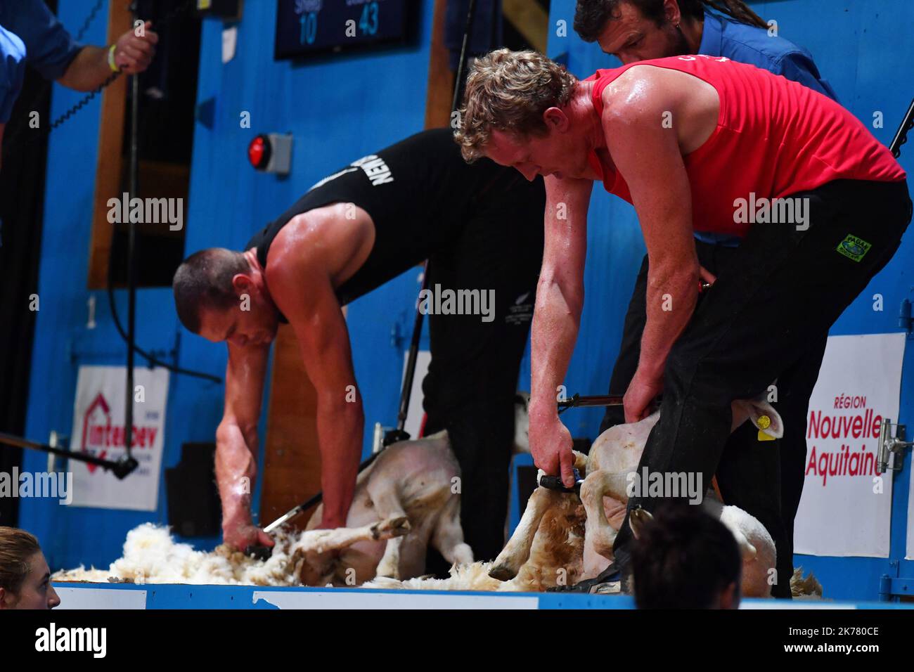 Wales' Richard Jones wins the World Champion title in the blade shearing category during the 18th edition of the World Sheep Shearing and Wool handling championships in Le Dorat Stock Photo