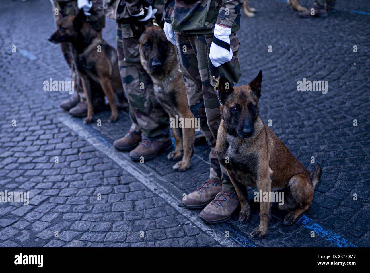 Brigade militaire hi-res stock photography and images - Alamy