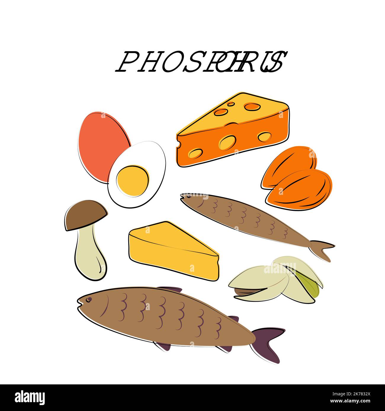 Phosphoruscontaining food. Groups of healthy products containing