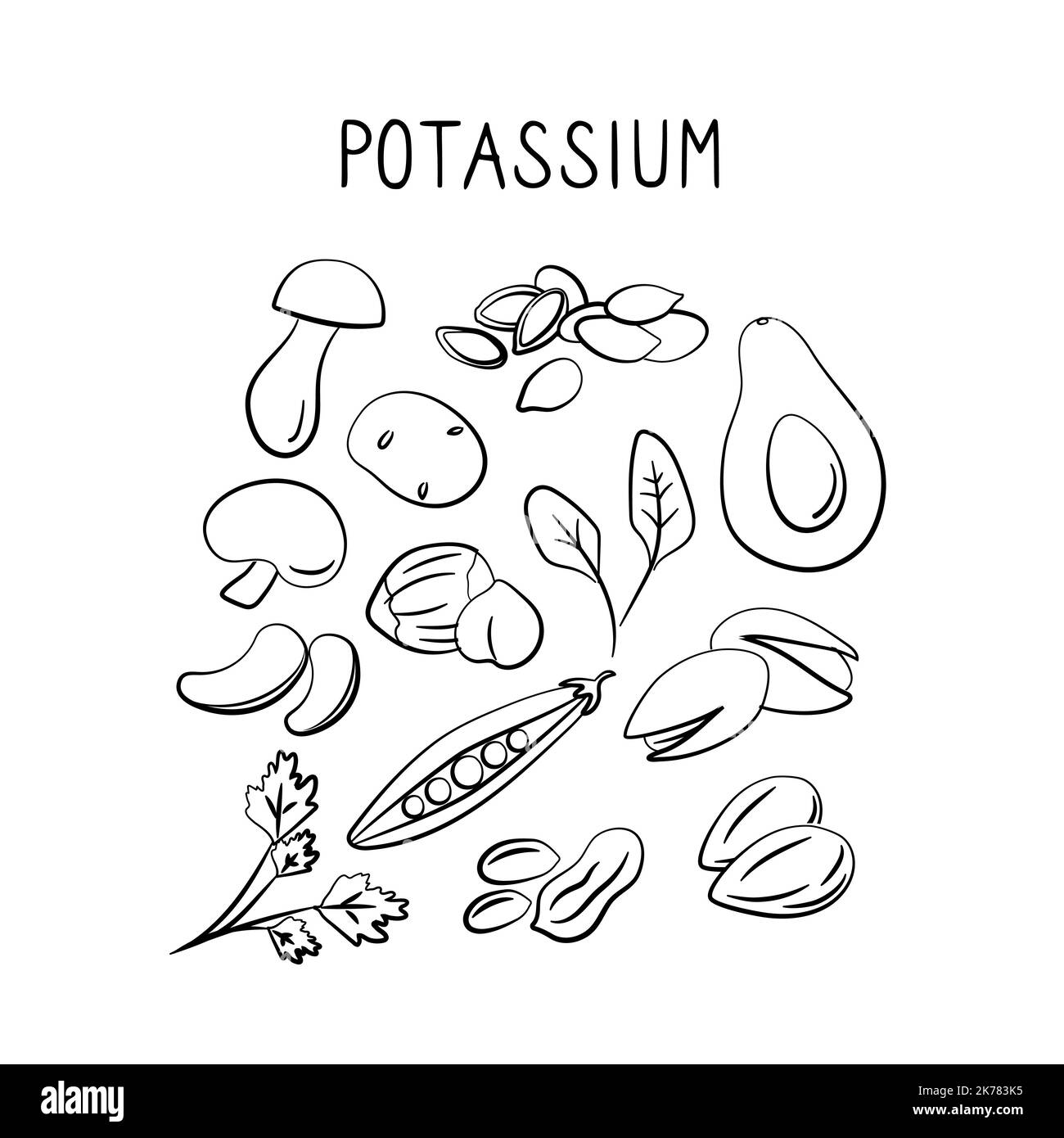 Potassiumcontaining food. Groups of healthy products containing