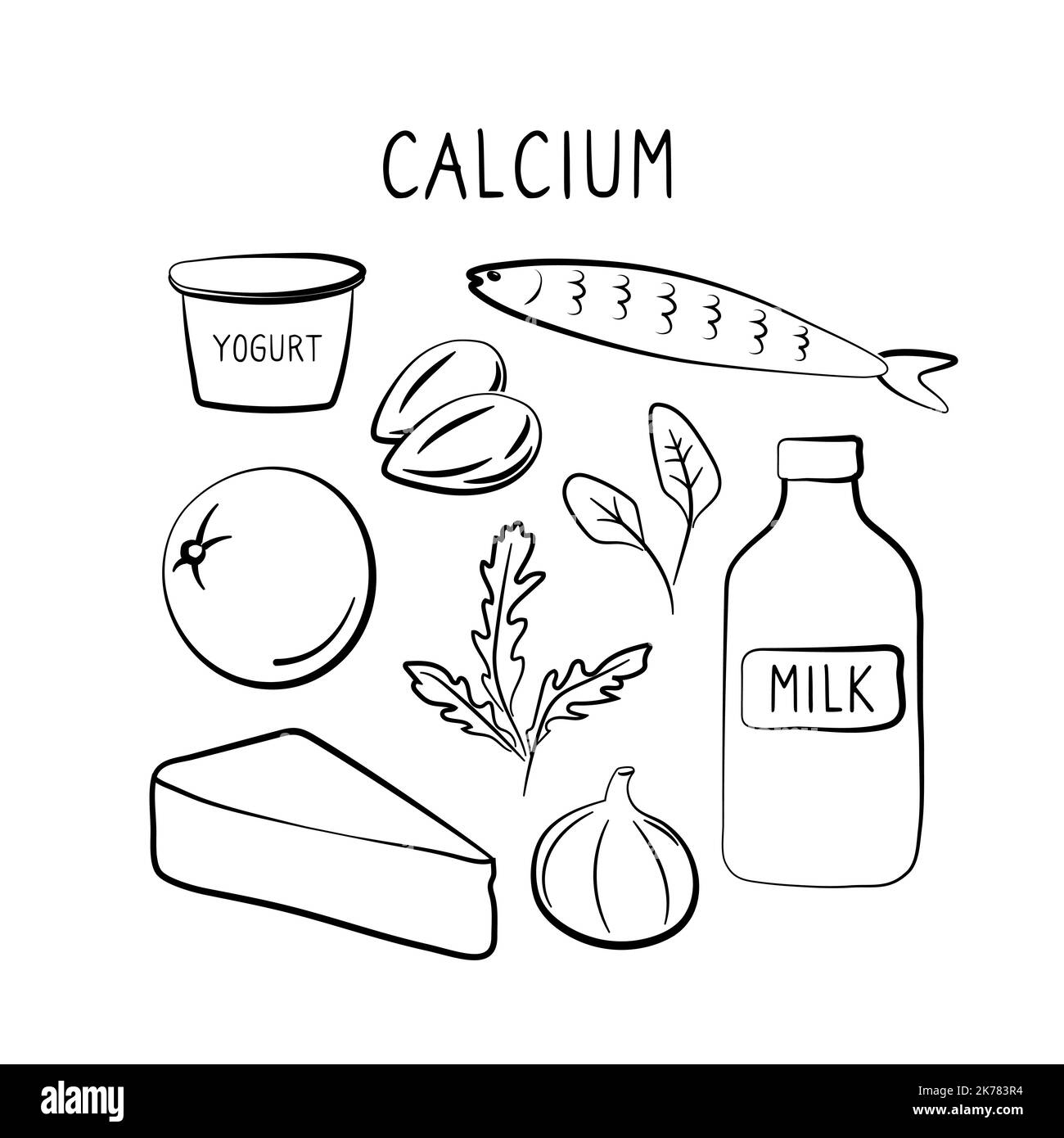 Calciumcontaining food. Groups of healthy products containing vitamins