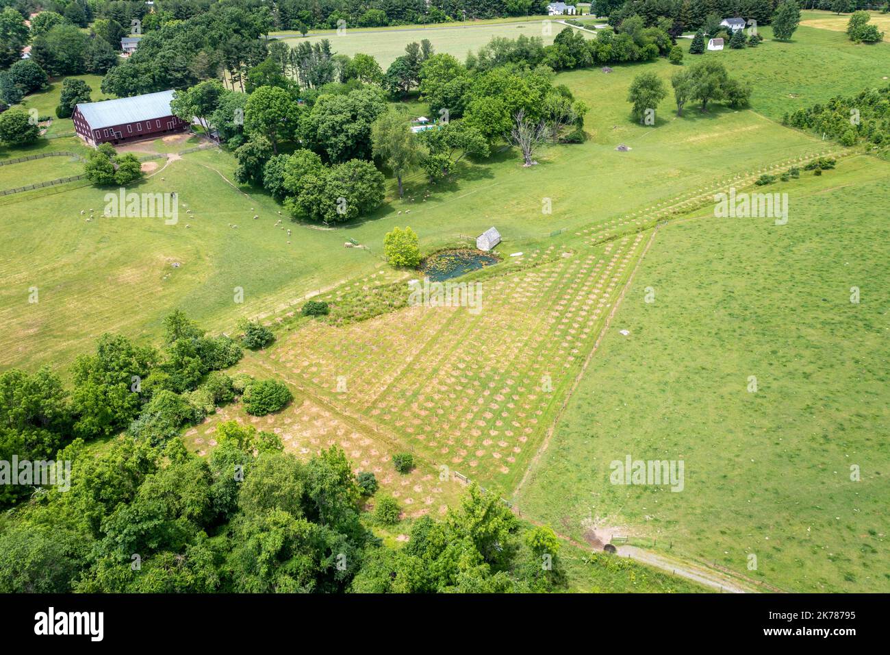 CREP (Conservation Reserve Enhancement Program)  plantings in Carroll County MD Stock Photo