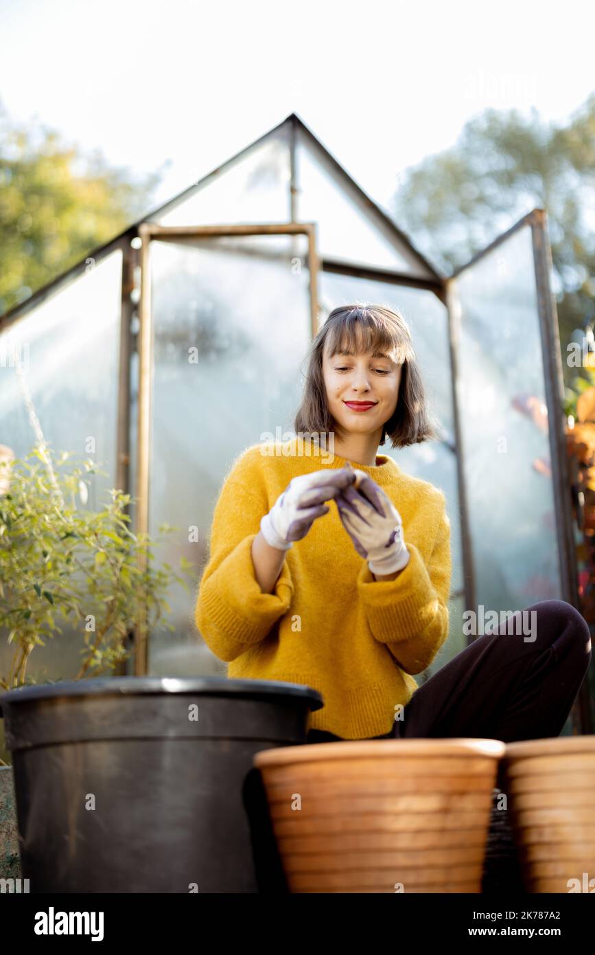 Woman planting flowers in jugs at garden Stock Photo - Alamy