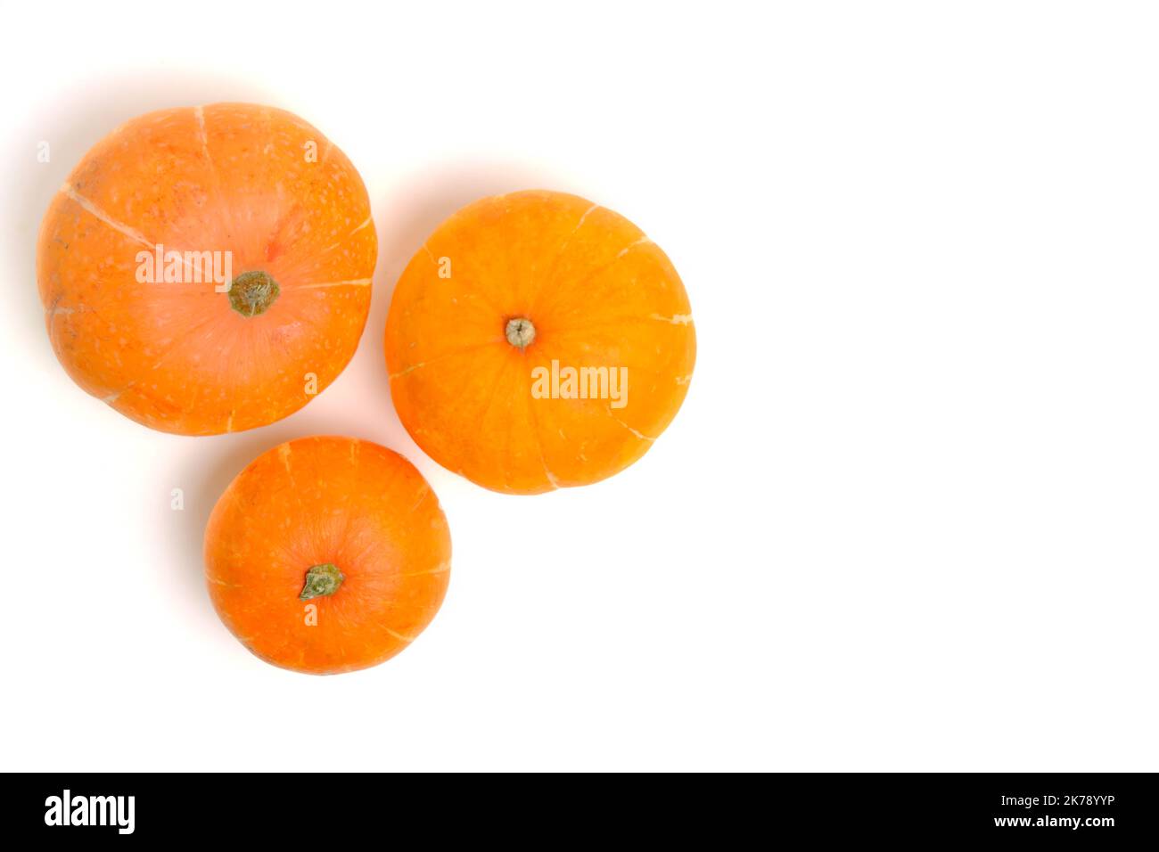 Three pumpkins white background, top view Stock Photo