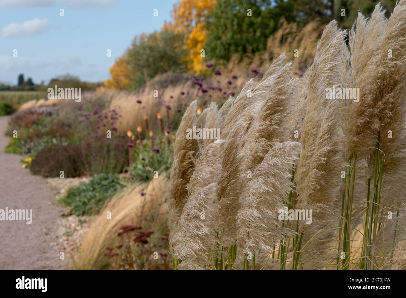 Deep autumn colours and textures at RHS Hyde Hall garden, near Chelmsford, Essex, UK. Stock Photo