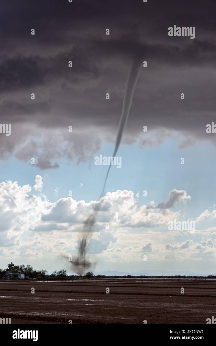 Landspout tornado in the desert near Sun Lakes, Arizona Stock Photo