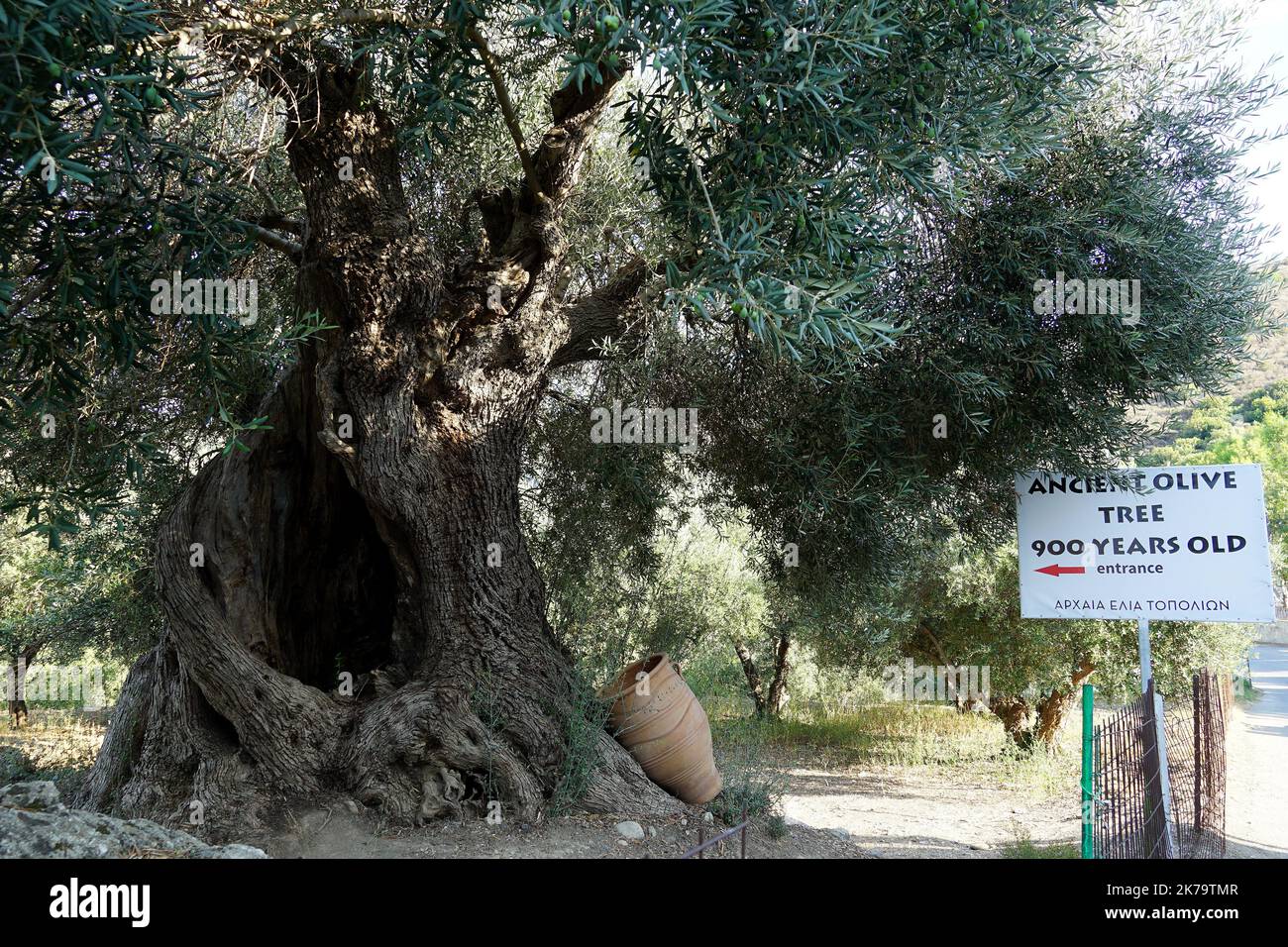 Lon 23 68645900 Hi res Stock Photography And Images Alamy lon-23-68645900-hi-res-stock-photography-and-images-alamy