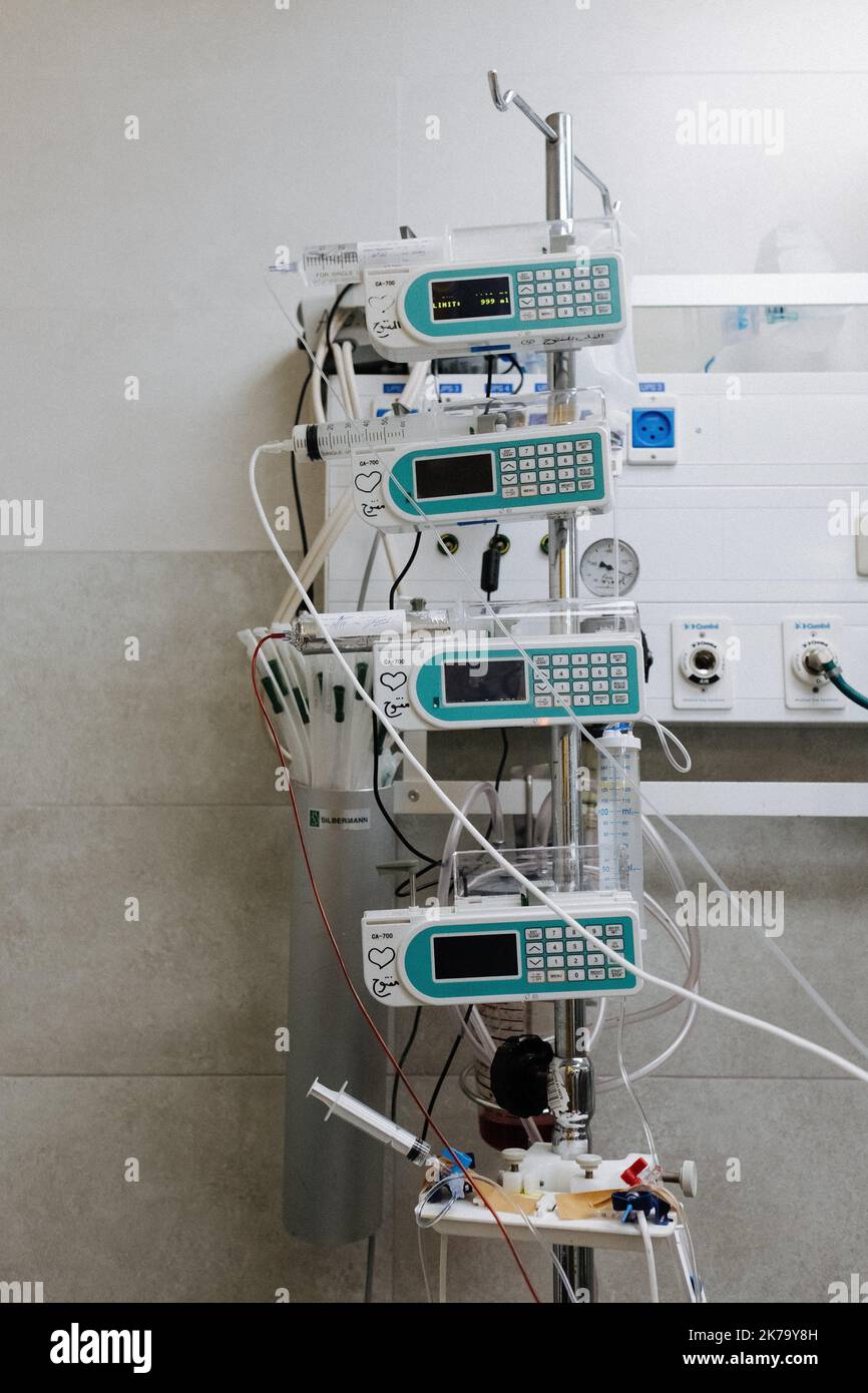 Israel / Mount of olive trees / East Jerusalem A stone's throw from