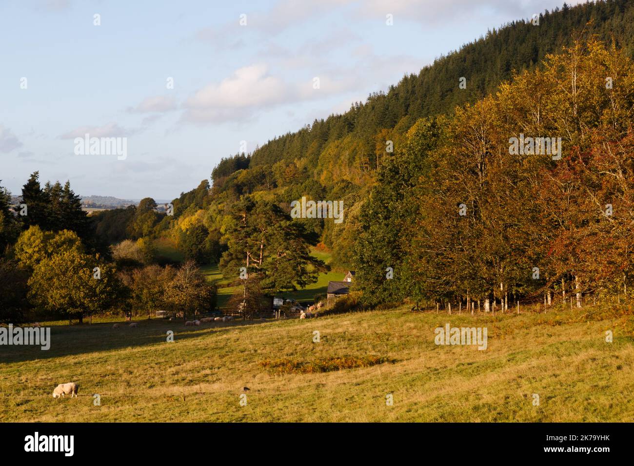 Talybont reservoir, South Wales, UK.  17 October '22.  UK weather: A sunny afternoon at the reservoir.  Credit: Andrew Bartlett/Alamy Live News. Stock Photo