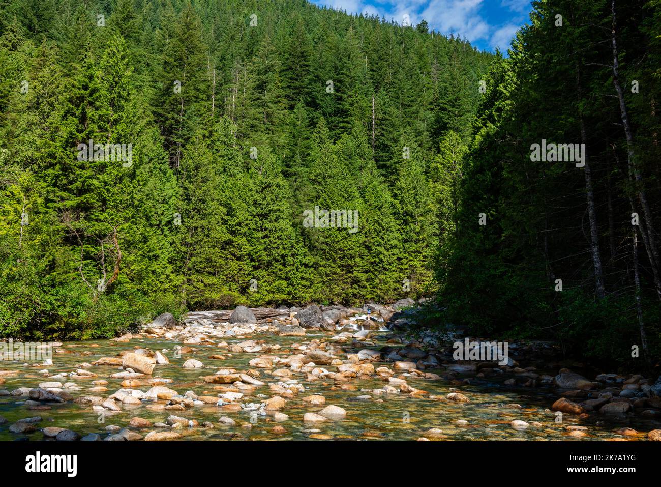 Photograph from the Gold Creek Trail, along Gold Creek, Golden Ears