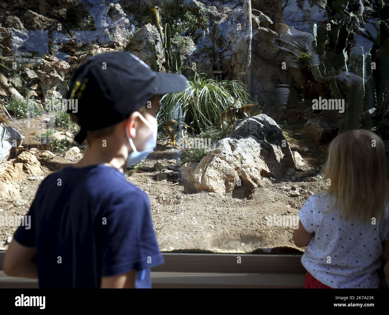 Monaco, june 18th 2020 - Animal park is reopening in Monaco after covid ...