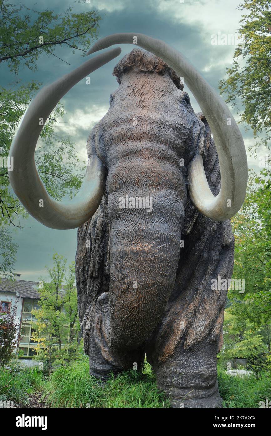 Realistic outdoor model of an extinct mammoth Stock Photo