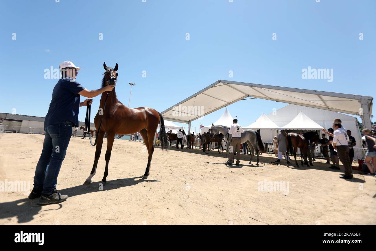 Menton 04/07/2020 - Arabian Thoroughbred Championship. Contest that ...