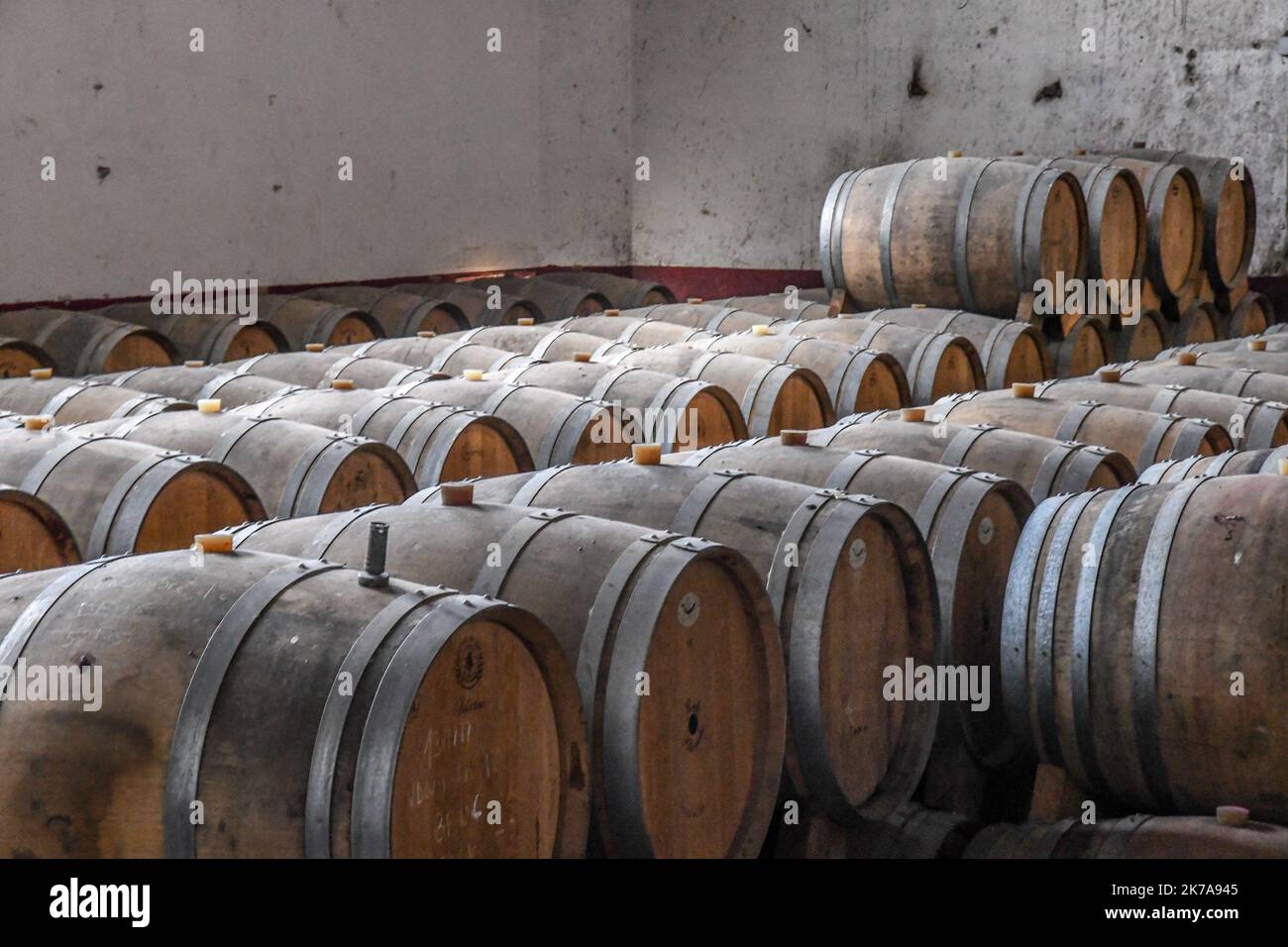 Â©PHOTOPQR/L'INDEPENDANT/Clementz Michel ; FOURQUES ; 23/07/2020 ; FOURQUES  LE 23 JUILLET 2020 / DOMAINE VINICOLE VITICOLE / CAVE COOPERATIVE  TERRASSOUS DE TERRATS / ILLUSTRATION / FUTS DE CHENE / VIEILLISSEMENT DU VIN