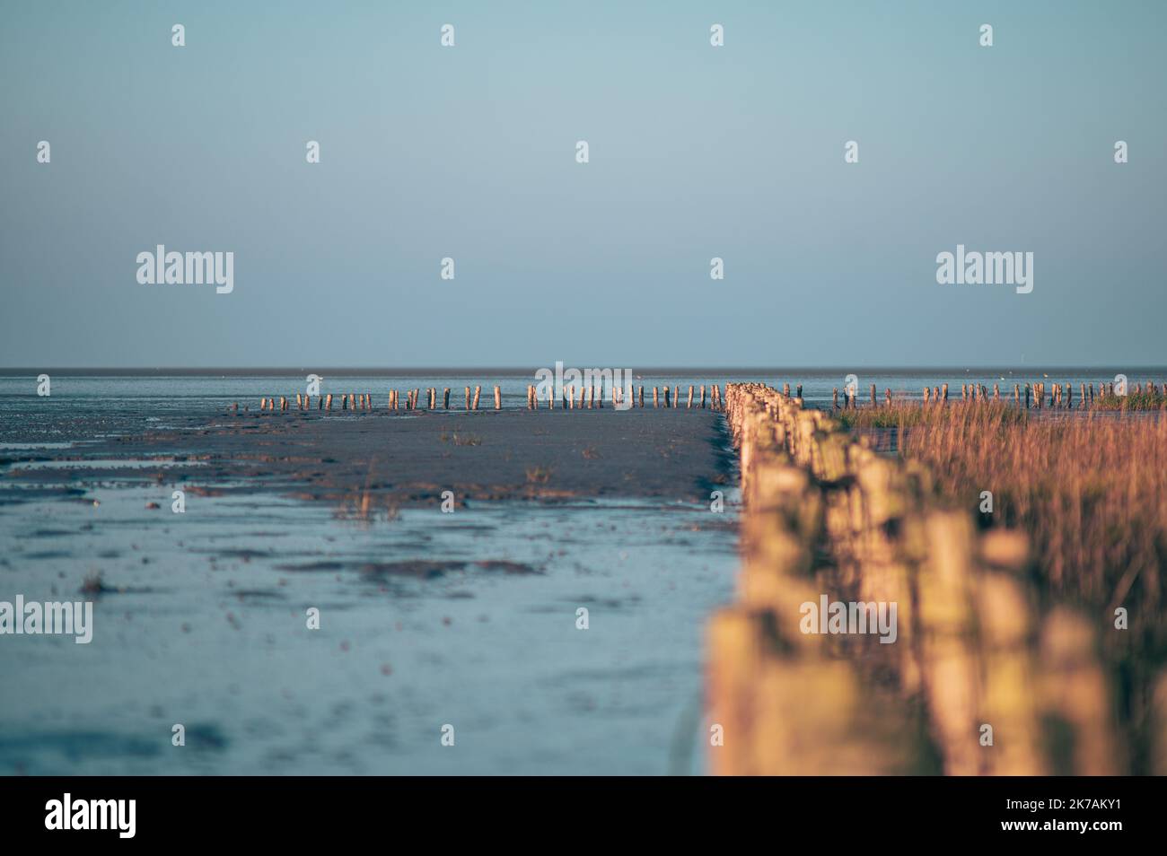 Mudflats at low tide in Friedrichskoog, Germany. High quality photo Stock Photo