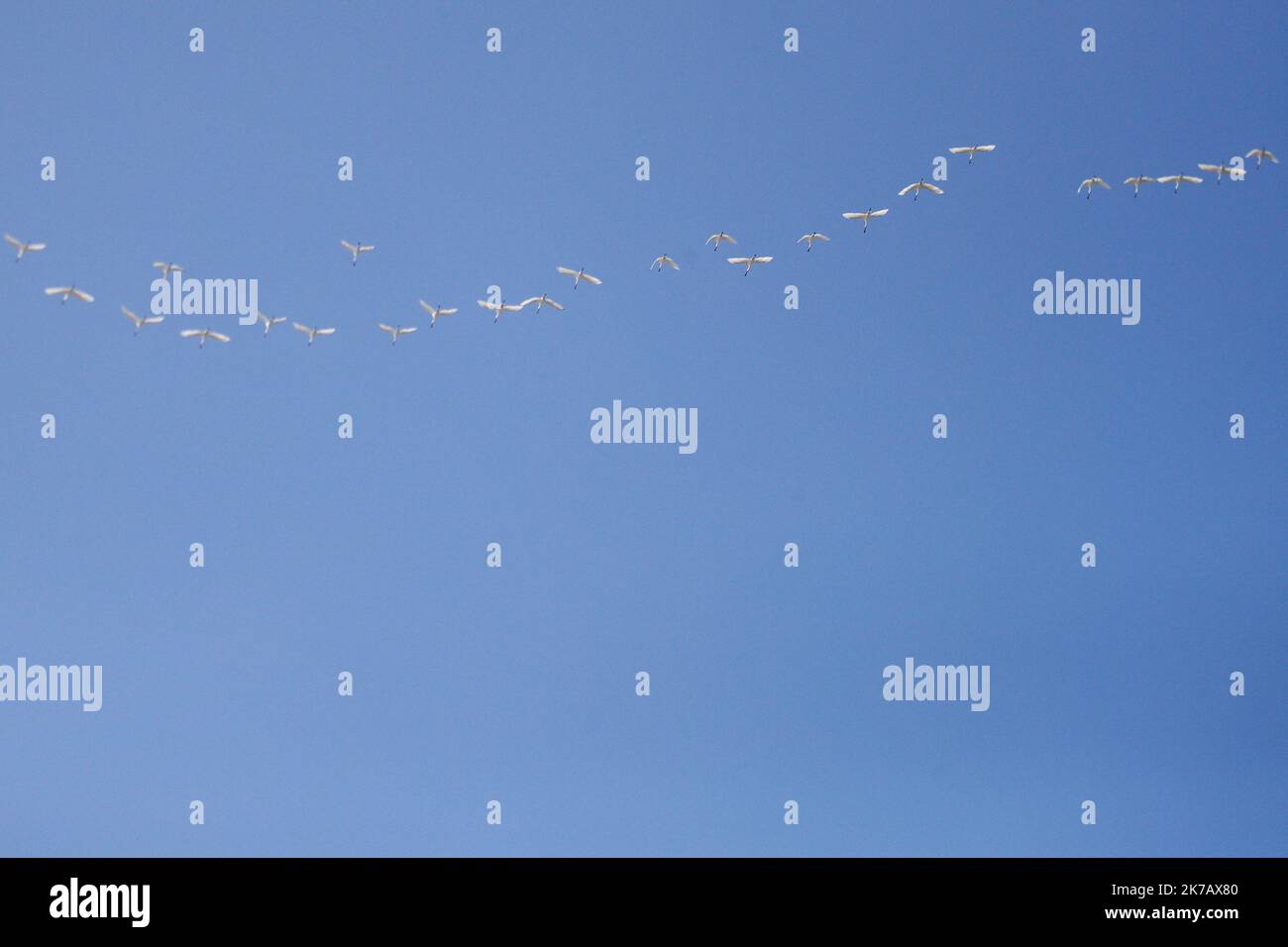 ©PHOTOPQR/VOIX DU NORD/Johan BEN AZZOUZ ; 14/09/2020 ; Sangatte, le 14 septembre 2020. Le drone solaire a réussi sa traversée de la Manche en 2 h 20 au départ de Sangatte. Ce lundi, à 13 h09 précises, le drone fonctionnant à l’énergie solaire de la start-up toulousaine Sunbirds a pris son envol de Sangatte au-dessus de la Manche. En deux heures et vingt minutes, l'aéronef a terminé son aller-retour, établissant ainsi un nouveau record. PHOTO JOHAN BEN AZZOUZ LA VOIX DU NORD - 2020/09/14. The solar drone has successfully crossed the Channel in Sangatte  Stock Photo