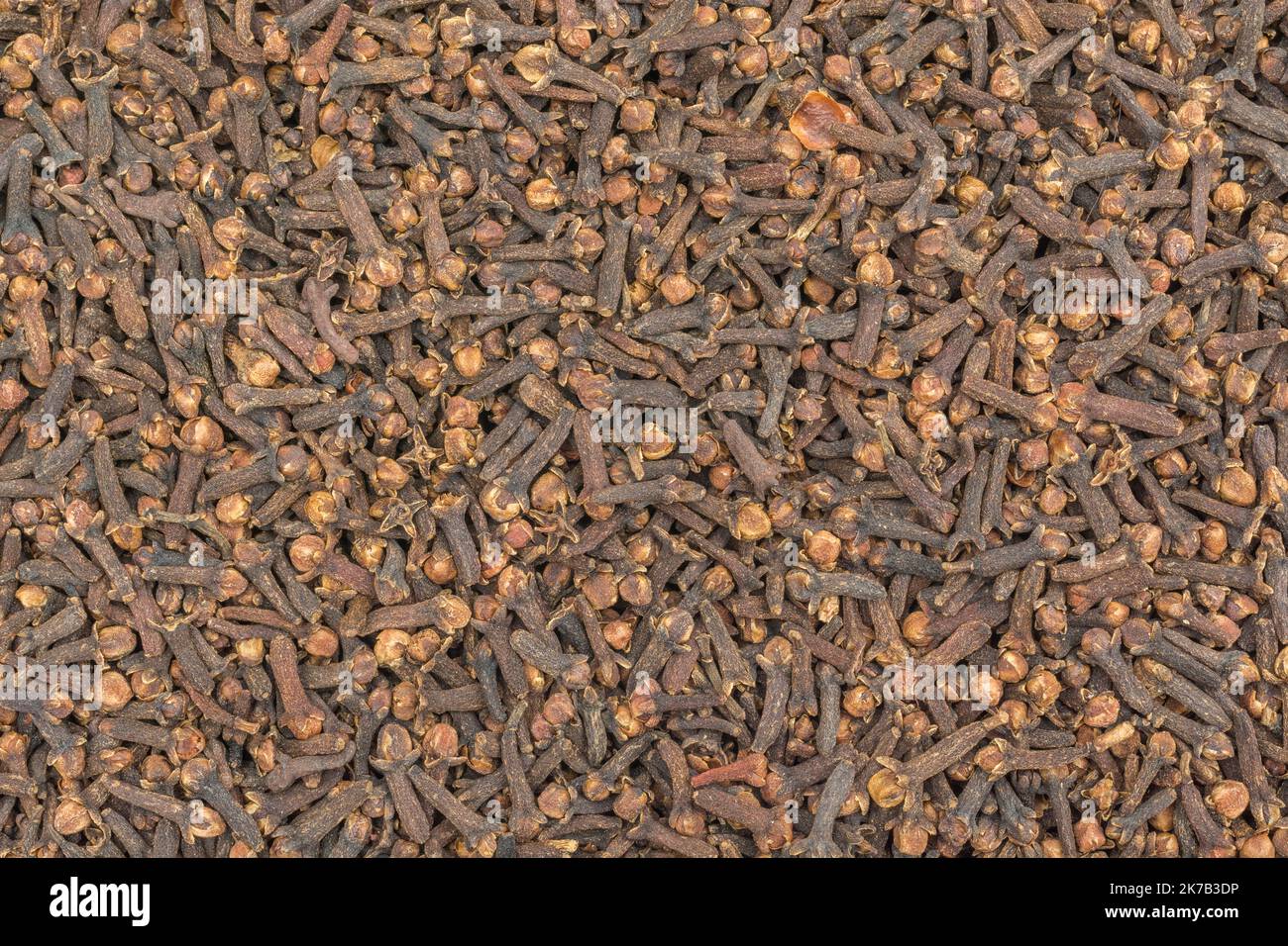 Syzygium aromaticum ayurvedic medicine hires stock photography and