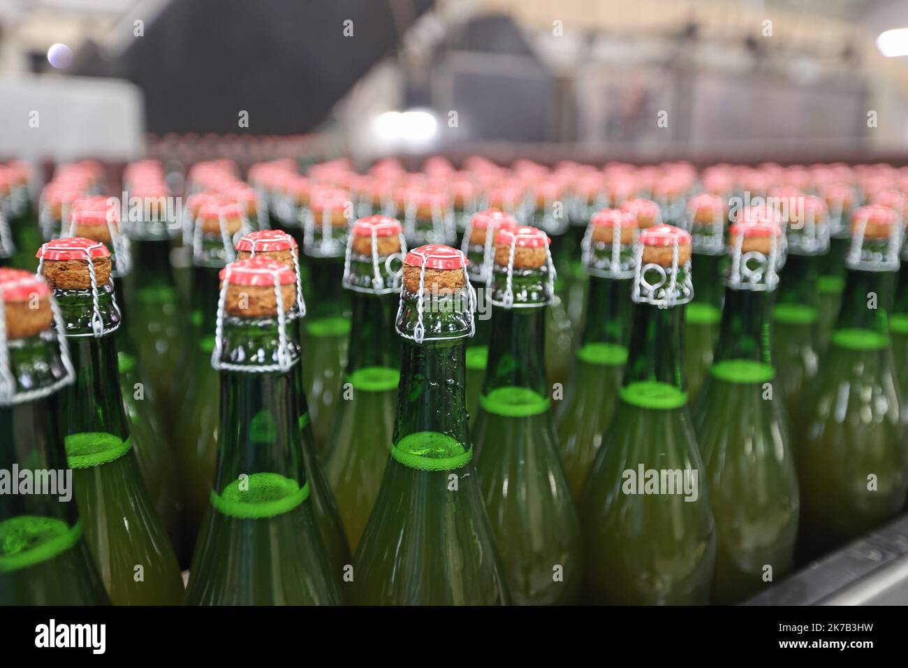 Green' bouteille de lait faites de carton Photo Stock - Alamy