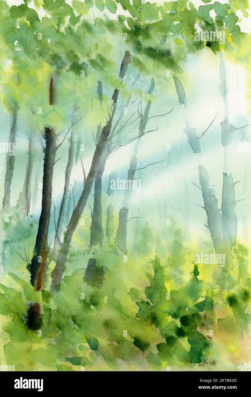 Sunbeams shining through the forest in a watercolor painting Stock ...