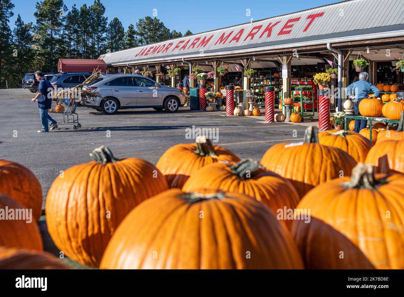 Jaemor Farm Market pumpkin harvest display at Jaemor Farms, a popular