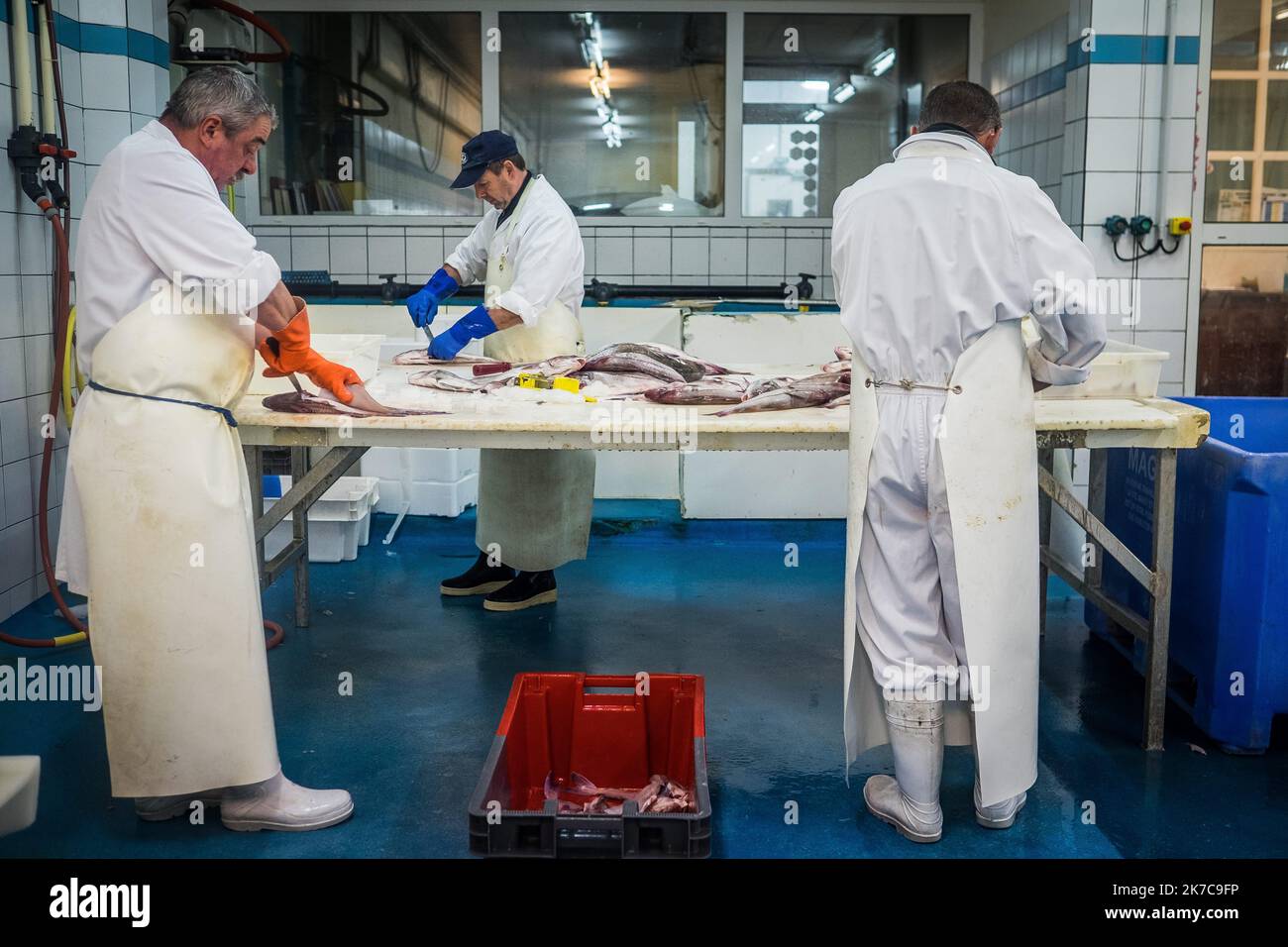 ©Olivier Donnars / Le Pictorium/MAXPPP - Olivier Donnars / Le Pictorium - 26/10/2015 - France / Bretagne / Le Guilvinec - A la criee du Guilvinec (29), dans les ateliers de decoupe de la societe Daniel, arrivent les premiers lots de poissons. La plupart seront evides et decoupes en filets avant expedition. Le Guilvinec est le premier port francais de peche artisanale. / 26/10/2015 - France / Brittany / Le Guilvinec - At the Guilvinec fish auction (29), in the cutting workshops of the Daniel company, the first batches of fish arrive. Most of them will be hollowed out and cut into fillets before Stock Photo