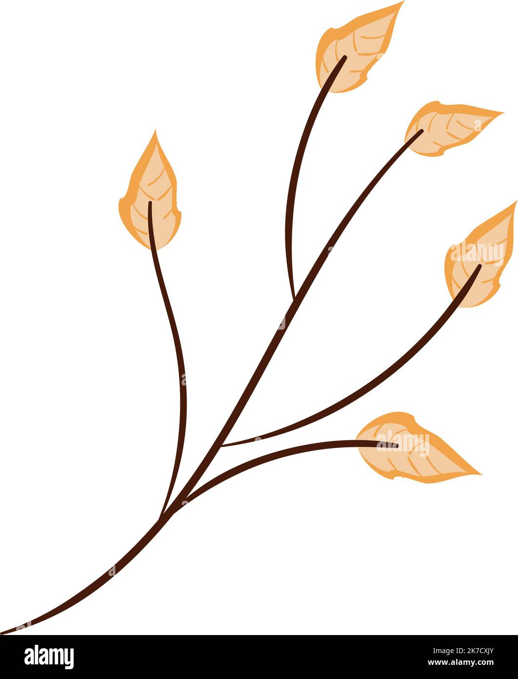 Simple Fall Branch fall autumn branch Stock Vector Image & Art - Alamy
