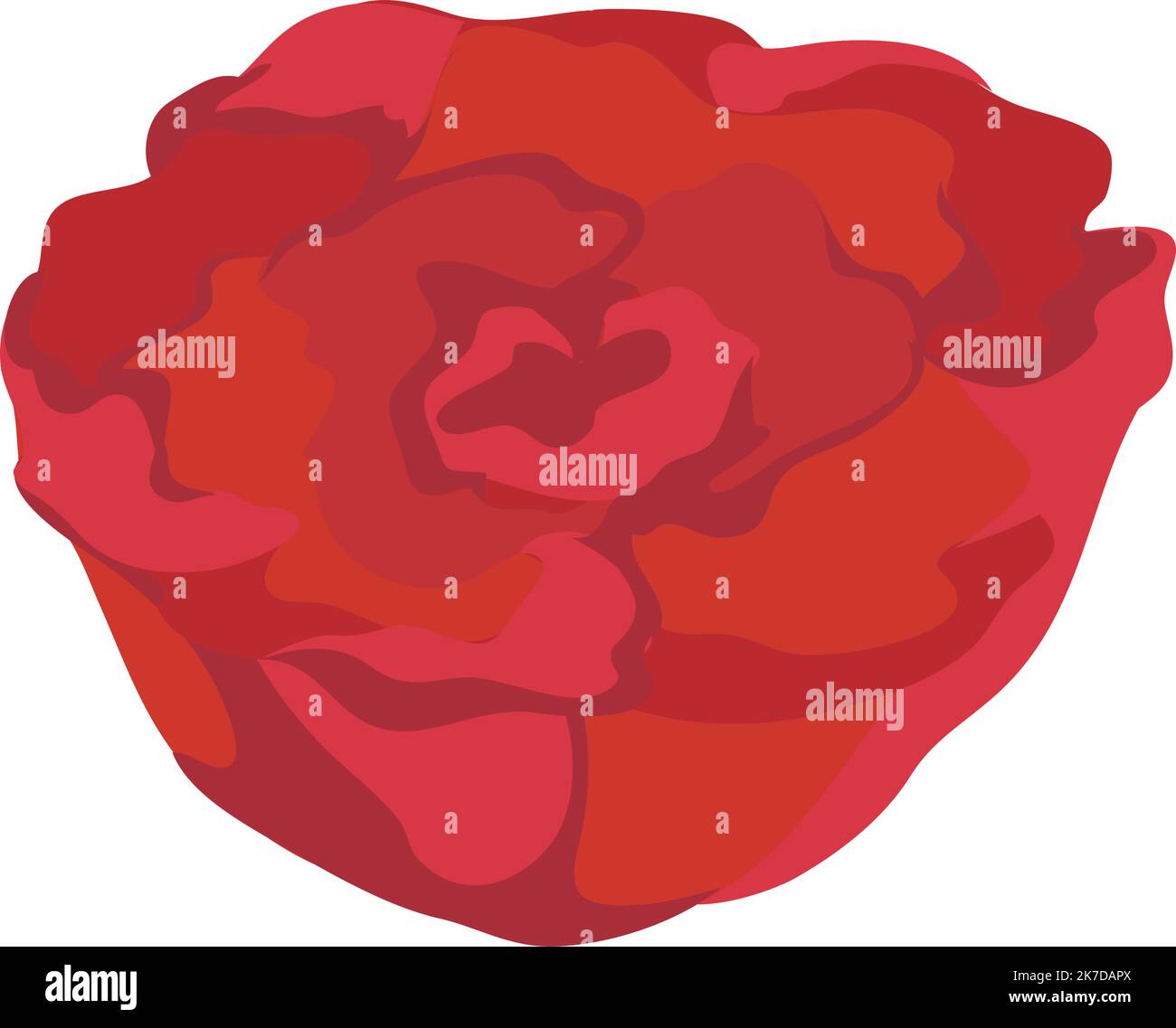 colored rose design Stock Vector Image & Art - Alamy