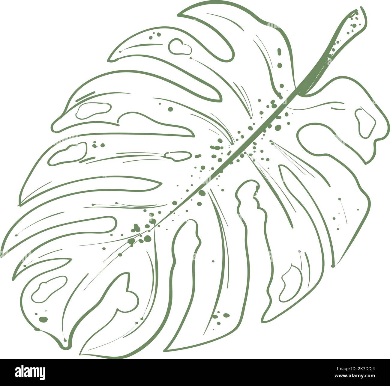 nature leaf illustration Stock Vector Image & Art - Alamy