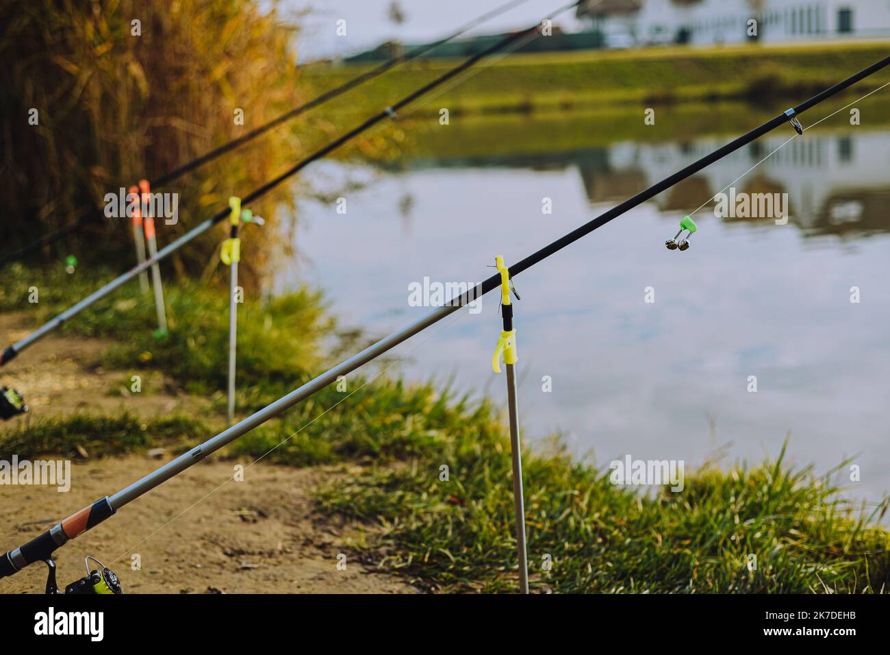 https://c8.alamy.com/comp/2K7DEHB/fishing-on-the-lake-fishing-rods-on-the-background-of-the-lake-and-houses-sports-fishing-the-bell-hangs-on-a-fishing-line-selective-focus-2K7DEHB.jpg