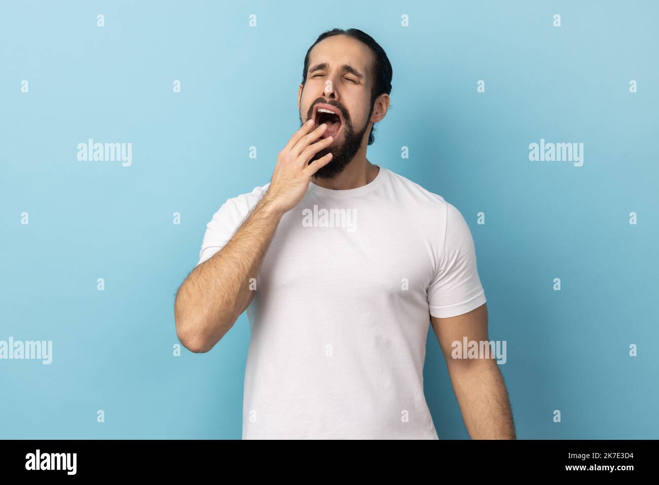 Portrait of drowsy tired man with beard in white T-shirt standing with wide open mouth, yawning feeling fatigued, lack of energy, need sleep and rest. Indoor studio shot isolated on blue background. Stock Photo