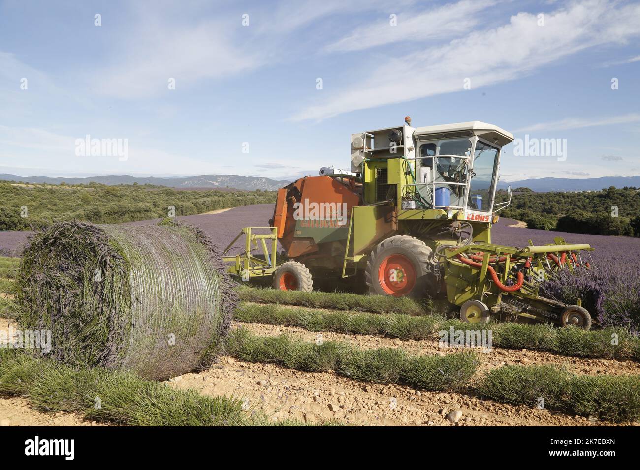©PHOTOPQR/LA PROVENCE/CAMOIN Eric ; Valensole ; 14/07/2021 ; plateau de