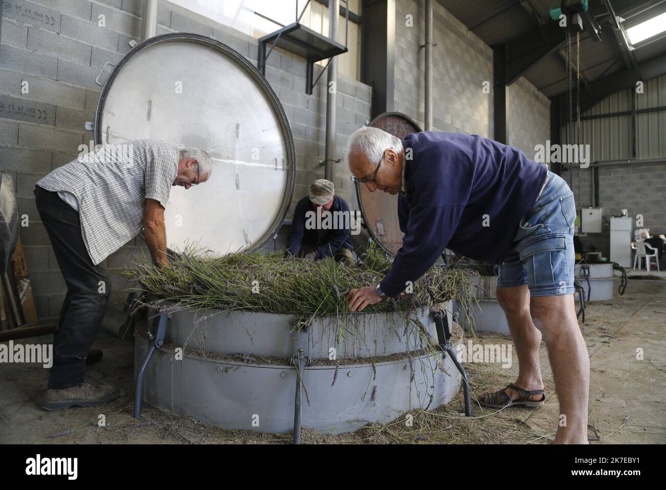 ©PHOTOPQR/LA PROVENCE/CAMOIN Eric ; Valensole ; 14/07/2021 ; plateau de