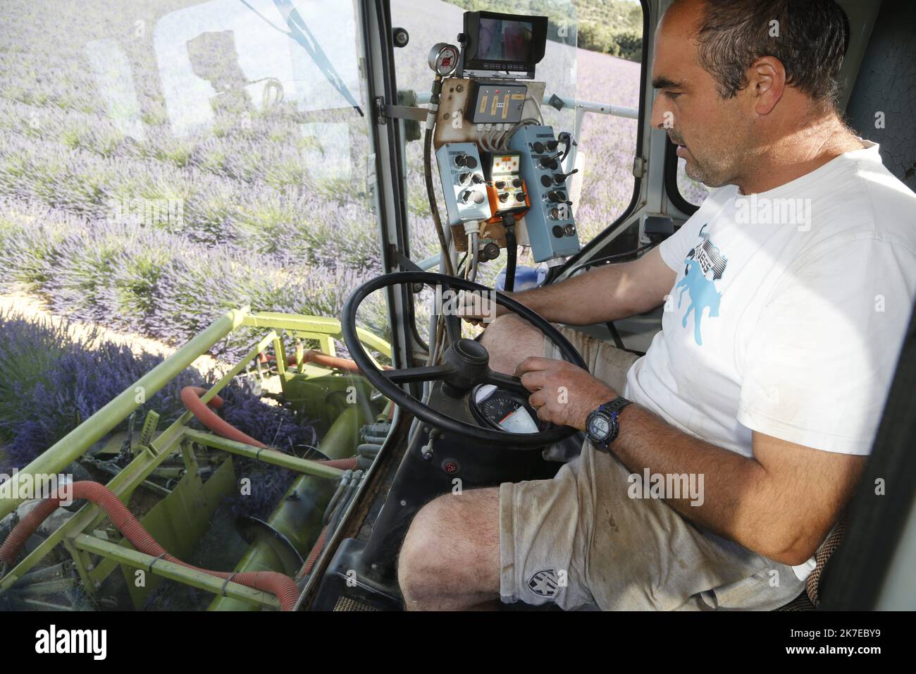 ©PHOTOPQR/LA PROVENCE/CAMOIN Eric ; Valensole ; 14/07/2021 ; plateau de
