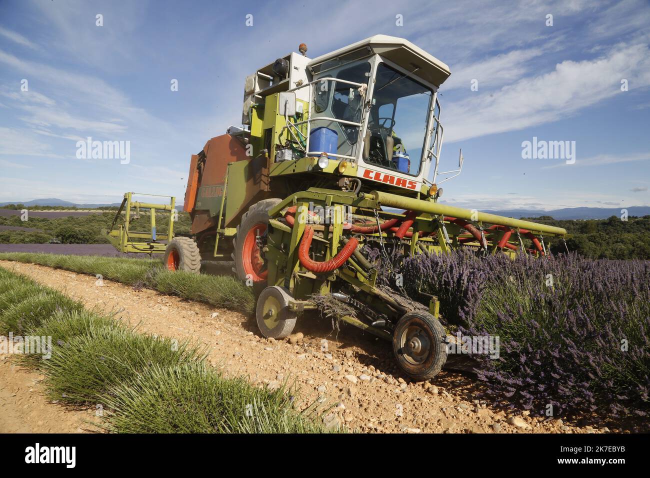 ©PHOTOPQR/LA PROVENCE/CAMOIN Eric ; Valensole ; 14/07/2021 ; plateau de