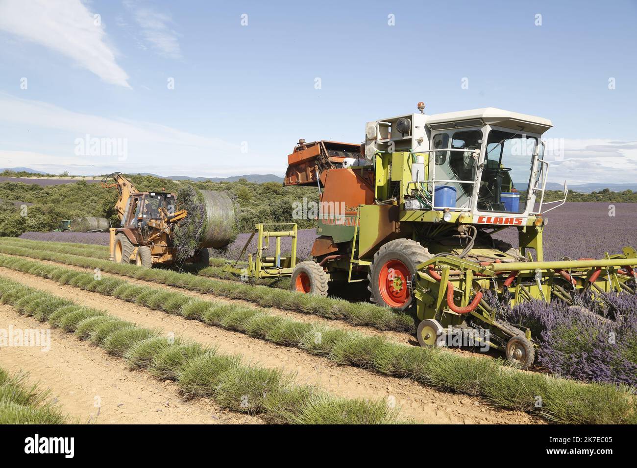 ©PHOTOPQR/LA PROVENCE/CAMOIN Eric ; Valensole ; 14/07/2021 ; plateau de