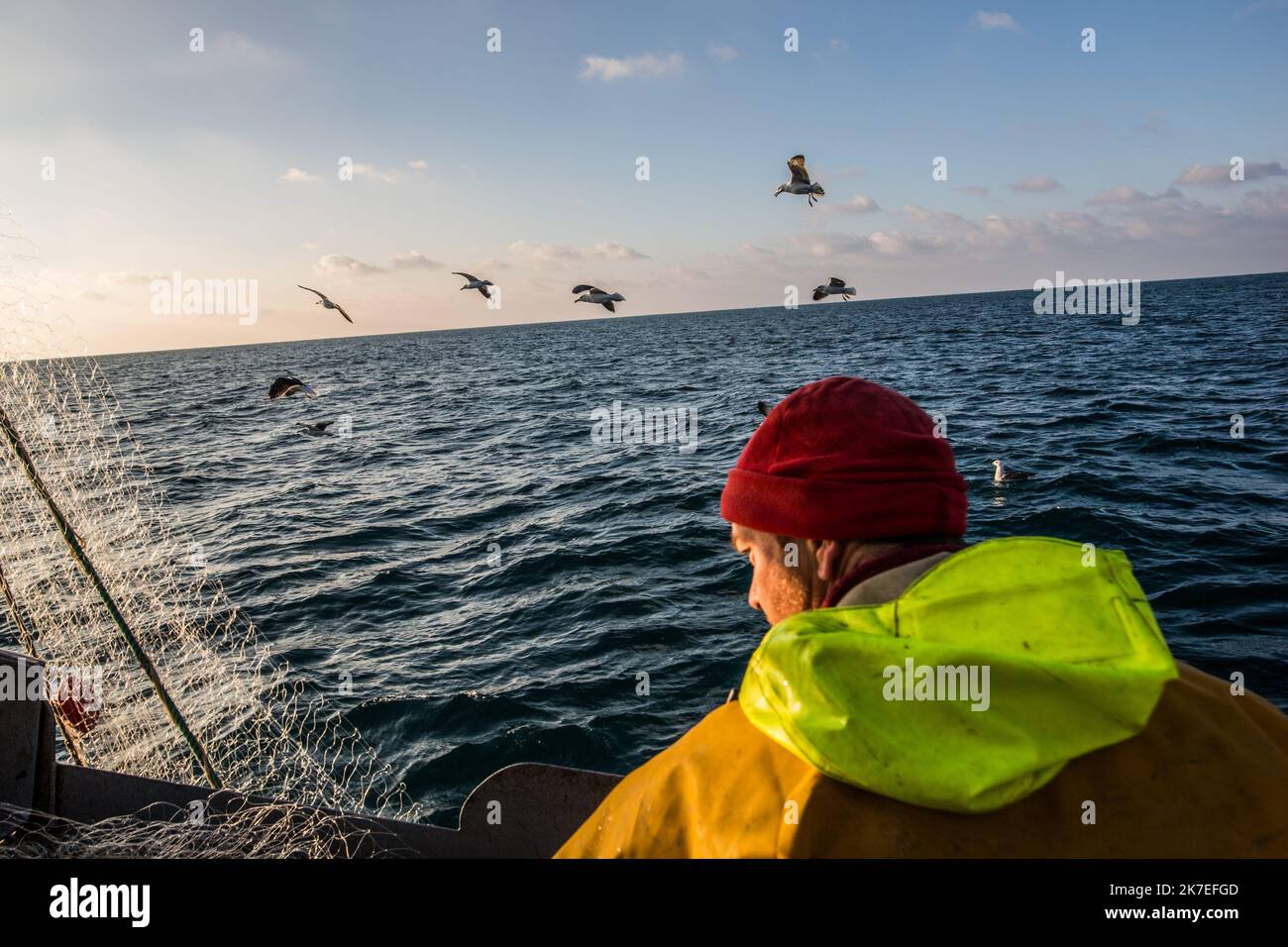 ©Sadak Souici / Le Pictorium/MAXPPP - Sadak Souici / Le Pictorium - 7/1/2021 - France / Bretagne / Lorient - 8h22. Guillaume inspecte ce qui ressort d'un filet. La peche doit etre en parfait etat : la moindre nageoire abimee rend le poisson invendable, et sera rendu aux oiseaux. Sur les neufs filets que possede le Chti'Breizh, deux n'ont rien donne. Mais c'est comme ca et personne n'en veut vraiment a Anne Le Strat. Non reconnues en mer, ou elles sont encore rarissimes, et sur terre, ou elles s'occupent pourtant majoritairement du traitement et de la vente du poisson, les femmes sont confronte Stock Photo