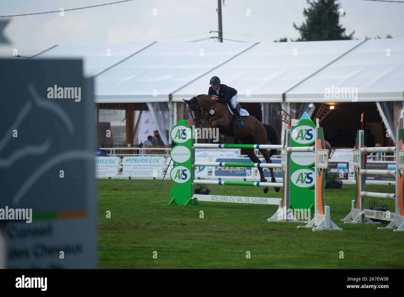 Housses De Manche Pour Saut D'obstacles équestres - Solides, Bleu Et Blanc, Lot De 3