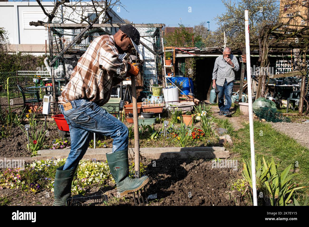 ©Olivier Donnars / Le Pictorium/MAXPPP - Olivier Donnars / Le Pictorium - 04/04/2021 - France / Ile-de-France / Aubervilliers - Ernest a obtenu son terrain il y a 5 ans. Il habite juste en face des Jardins des vertus. Pour lui, les jardins sont avant tout un lieu de convivialite ou se retrouvent beaucoup de personnes seules. Sa parcelle va etre amputee aux deux tiers. On lui a propose une autre parcelle dans les jardins de Pantin qui jouxtent les jardins des vertus. Mais il ne pourra l'exploiter que jusqu'en 2024 car un autre projet de reamenagement menace ces jardins. / 04/04/2021 - France /  Stock Photo