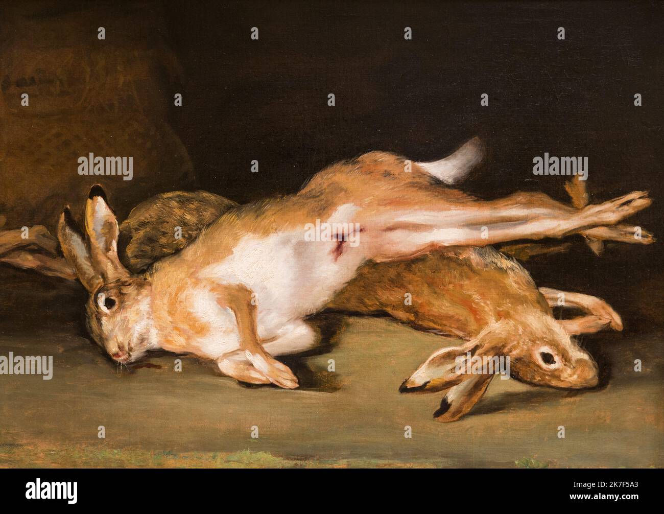 ©Active Museu/MAXPPP - ActiveMuseum 0000749.jpg / Nature Morte avec des Lievres Morts, 1820 - Goya - Still Life with Died Harres 1820 - / Goya / Peinture Active Museum / Le Pictorium Animal ,Death ,Game ,Hare ,Horizontal ,Hunting ,Romanticism ,Still-life (Composition) ,19th century ,Goya ,Painting ,  Stock Photo