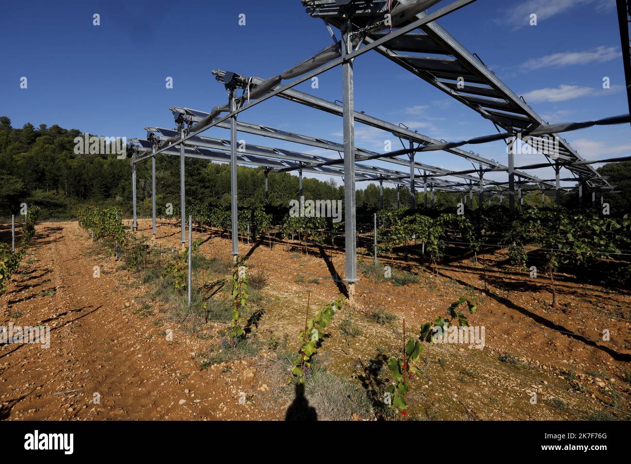 ©PHOTOPQR/NICE MATIN/Frank Muller ; rians ; 08/10/2021 ; Gautier Hugues viticulteur dont certaines parcelles de vignes situées Chemin de l'Ancienne Voie Ferrée, ont été équipées de panneaux photovoltaïques pour lutter contre le changement climatique, notamment la sécheresse, tout en revendant de l'électricité RIANS, FRANCE OCT 8TH 2021. SOUTHERN VINES PROTECTED FROM DROUGHT BY PHOTOVOLTAIC PANELS. AND IN ADDITION WE PRODUCE ELECTRICITY Stock Photo