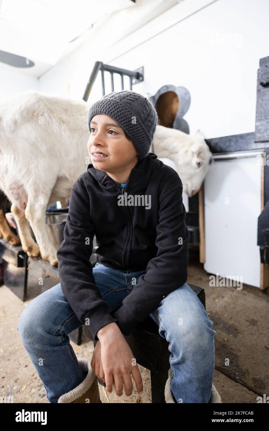 Boy with braces in barn with goats Stock Photo Alamy