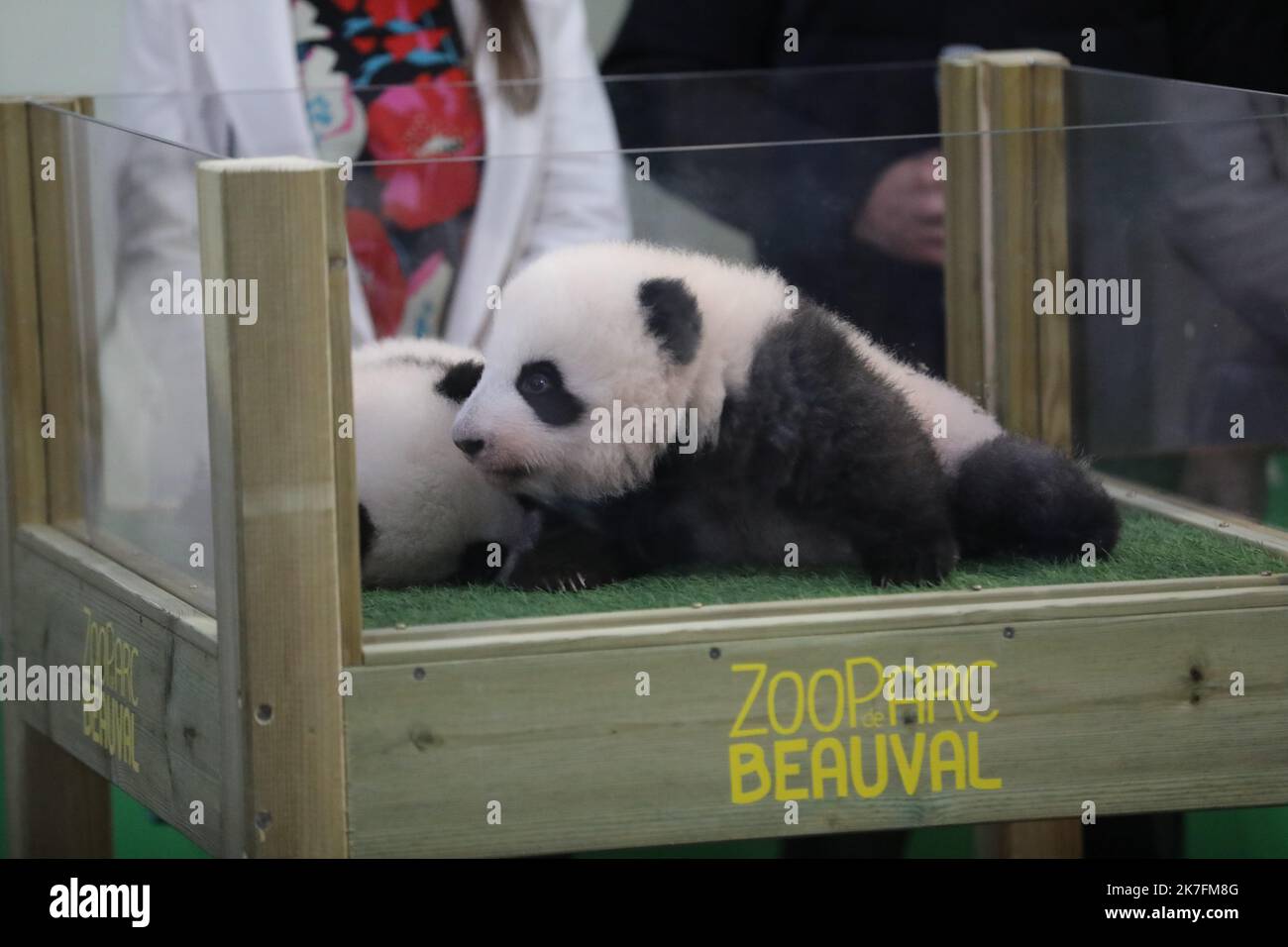 ©PHOTOPQR/LA NOUVELLE REPUBLIQUE/Jerome Dutac BEAUVAL 18/11/2021